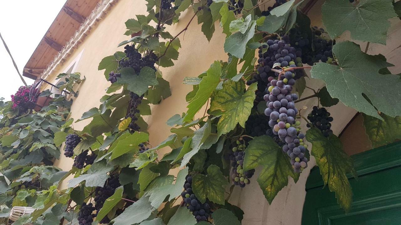 Scaccia Pensieri Βίλα Cerchio Εξωτερικό φωτογραφία